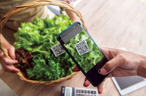 QR Code &ndash; Giải ph&aacute;p th&ocirc;ng minh truy xuất nguồn gốc h&agrave;ng h&oacute;a trong đại dịch Covid-19