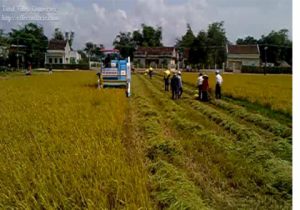 Cần đẩy mạnh ph&aacute;t triển cơ giới h&oacute;a để phục vụ sản xuất l&uacute;a ở đồng bằng s&ocirc;ng Cửu Long