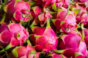 T&igrave;nh h&igrave;nh sản xuất, thị trường xuất nhập khẩu thanh long tr&ecirc;n thế giới