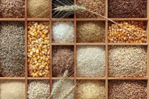 Các công nghệ trong sản xuất ngũ cốc trong tương lai