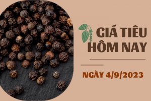 Gi&aacute; ti&ecirc;u h&ocirc;m nay 4/9: Nối d&agrave;i chuỗi đi ngang, cao su TOCOM tăng hơn 4,5%