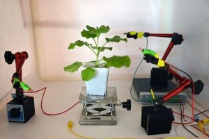 Ph&aacute;t minh ra robot c&oacute; thể nhận dạng c&aacute;c lo&agrave;i thực vật kh&aacute;c nhau ở c&aacute;c giai đoạn sinh trưởng kh&aacute;c nhau