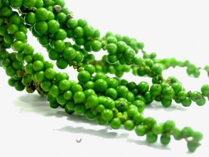 TT hạt ti&ecirc;u ng&agrave;y 03/8: Giữ vững mức gi&aacute; phi&ecirc;n cuối tuần ở 45.000 &ndash; 48.000 đồng/kg