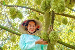 Để xuất khẩu tr&aacute;i c&acirc;y đạt 5 tỷ USD v&agrave;o năm 2025 v&agrave; 10 tỷ USD v&agrave;o năm 2030
