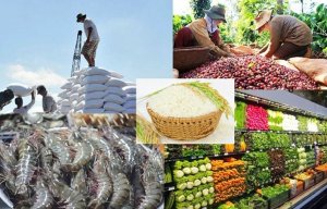 Để xuất khẩu n&ocirc;ng sản tiếp đ&agrave; thắng