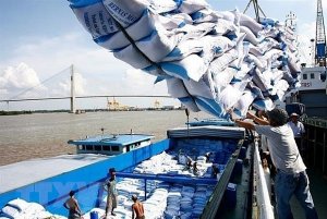 C&acirc;n đối khoảng 800 ngh&igrave;n tấn gạo cho xuất khẩu tới th&aacute;ng 5