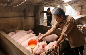 To&agrave;n ng&agrave;nh chăn nu&ocirc;i nhập si&ecirc;u gần 4,3 tỷ USD trong nửa đầu năm