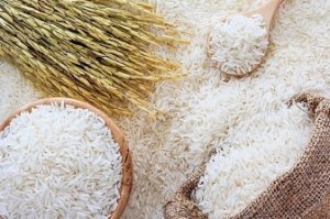 Gi&aacute; l&uacute;a gạo h&ocirc;m nay 25/12 v&agrave; tổng kết tuần qua: Gi&aacute; ch&agrave;o b&aacute;n l&uacute;a đ&ocirc;ng xu&acirc;n tăng