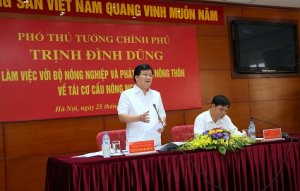 Tích tụ ruộng đất để mời doanh nghiệp đầu tư nông nghiệp