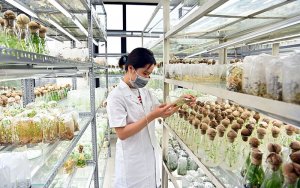 Th&uacute;c đẩy đổi mới s&aacute;ng tạo từ c&aacute;c nh&agrave; khoa học nữ