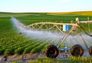 C&ocirc;ng nghệ n&ocirc;ng nghiệp trong tương lai: C&ocirc;ng nghệ trong chăn nu&ocirc;i v&agrave; trong quản l&yacute; đất v&agrave; nước