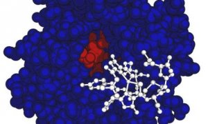 Vi khuẩn ti&ecirc;u thụ kh&iacute; nh&agrave; k&iacute;nh nhờ protein