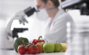 C&ocirc;ng nghệ gen trong n&ocirc;ng nghiệp c&ocirc;ng nghệ cao