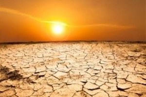 Silica gi&uacute;p c&acirc;y trồng sống s&oacute;t trong điều kiện hạn h&aacute;n
