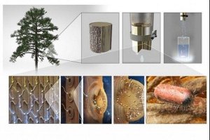 Bộ lọc từ c&agrave;nh c&acirc;y xử l&yacute; nước &ocirc; nhiễm