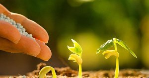 Hệ thống di động xử l&yacute; hạt giống c&acirc;y trồng bằng c&aacute;c electron thay v&igrave; thuốc diệt nấm