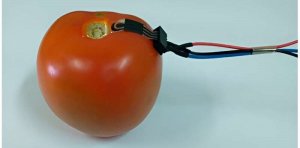 Cảm biến ph&acirc;n hủy sinh học theo d&otilde;i nồng độ thuốc trừ s&acirc;u tr&ecirc;n tr&aacute;i c&acirc;y v&agrave; rau quả
