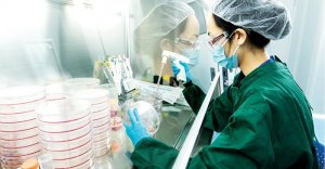 Ti&ecirc;u chuẩn quốc tế đầu ti&ecirc;n về dữ liệu tế b&agrave;o gốc
