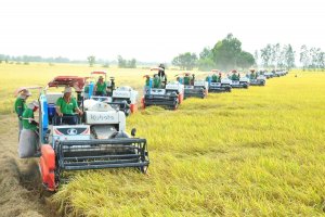 5 giải ph&aacute;p trọng t&acirc;m, đột ph&aacute; về KHCN ng&agrave;nh n&ocirc;ng nghiệp v&agrave; m&ocirc;i trường 