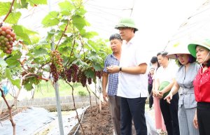 Ph&aacute;t triển n&ocirc;ng nghiệp xanh: Xu hướng tất yếu