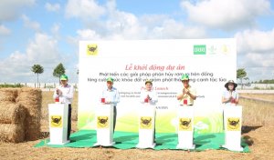 `Gạo Việt Nam xanh ph&aacute;t thải thấp`: Bước tiến mới cho ng&agrave;nh l&uacute;a gạo