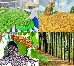 Ph&aacute;t triển trồng trọt theo hướng xanh, đa gi&aacute; trị kết hợp gia tăng sản phẩm chế biến