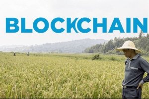 Blockchain v&agrave; n&ocirc;ng sản sạch cho người ti&ecirc;u d&ugrave;ng