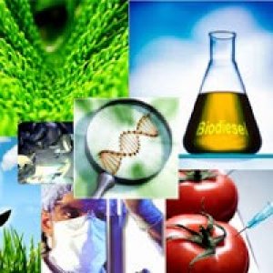 Một số vấn đề về công nghệ tương lai trong nông nghiệp