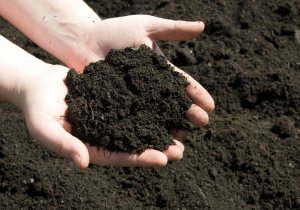 Các công nghệ quản lý đất trồng