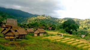 Nghi&ecirc;n cứu, đ&aacute;nh gi&aacute; xung đột m&ocirc;i trường ở T&acirc;y Nguy&ecirc;n trong thời kỳ đổi mới v&agrave; đề xuất c&aacute;c giải ph&aacute;p ph&aacute;t triển bền vững