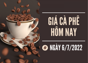 Gi&aacute; c&agrave; ph&ecirc; h&ocirc;m 6/7: Tiếp đ&agrave; đi xuống, gi&aacute; nội địa giảm 400 đồng/kg