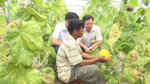 Tận dụng cơ hội từ c&aacute;c FTA thế hệ mới: Ng&agrave;nh n&ocirc;ng nghiệp phải l&agrave;m g&igrave;?