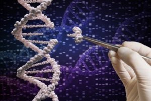  C&ocirc;ng cụ mới biến CRISPR th&agrave;nh "Con dao của qu&acirc;n đội Thụy Sĩ" 