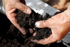 Đa dạng sinh học của đất gi&uacute;p chống lại t&aacute;c động ti&ecirc;u cực của đ&ocirc; thị h&oacute;a đến sức khỏe con người