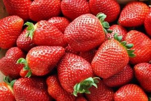 Lớp phủ CBD ăn được gi&uacute;p tr&aacute;i c&acirc;y tươi l&acirc;u hơn