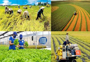 Mục ti&ecirc;u xuất khẩu n&ocirc;ng sản 100 tỷ USD: Khoa học c&ocirc;ng nghệ, đổi mới s&aacute;ng tạo trong kinh tế n&ocirc;ng nghiệp - C&ograve;n khi&ecirc;m tốn