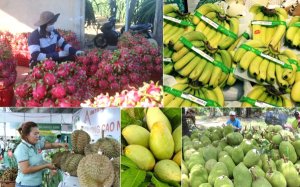 N&ocirc;ng nghiệp, nh&igrave;n lại để tiến xa hơn