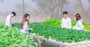 Nguồn nh&acirc;n lực cho n&ocirc;ng nghiệp 4.0: Ph&aacute;t triển nguồn nh&acirc;n lực chất lượng cao, đột ph&aacute; của đột ph&aacute;