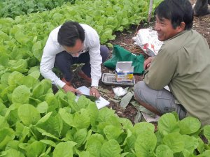 Sức khỏe đất v&agrave; sử dụng ph&acirc;n b&oacute;n hợp l&yacute; (B&agrave;i 2): Để đất khỏe, đ&acirc;u l&agrave; giải ph&aacute;p?