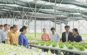 Để kinh tế tập thể đ&oacute;ng g&oacute;p nhiều hơn cho nền kinh tế