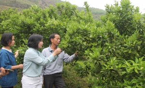 Kết nối h&agrave;ng ngh&igrave;n n&ocirc;ng d&acirc;n, doanh nghiệp c&ugrave;ng x&acirc;y dựng hệ sinh th&aacute;i n&ocirc;ng nghiệp xanh