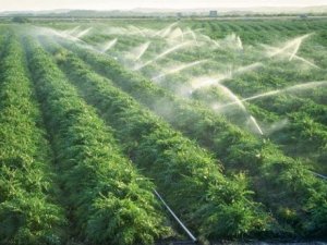 Những th&aacute;ch thức đối với n&ocirc;ng nghiệp hữu cơ trong tương lai