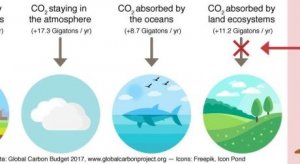 Hạn h&aacute;n l&agrave;m tăng nồng độ CO2 trong kh&ocirc;ng kh&iacute;