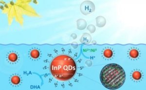 C&aacute;c hạt nano th&acirc;n thiện với m&ocirc;i trường gi&uacute;p quang hợp nh&acirc;n tạo