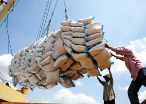 N&acirc;ng tầm cạnh tranh của gạo Việt: Sớm x&acirc;y dựng thương hiệu