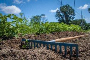  Dự án chuyển đổi nông nghiệp khắp Châu Âu
