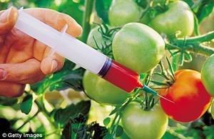 Công nghệ chuyển gen cây trồng