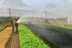 Gia cố m&oacute;ng ch&iacute;nh s&aacute;ch cho trụ đỡ n&ocirc;ng nghiệp 