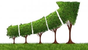Giải ph&aacute;p trọng t&acirc;m đẩy mạnh tăng trưởng xanh giai đoạn 2021 - 2030, tầm nh&igrave;n 2050