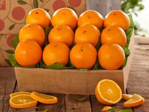 USDA b&aacute;o c&aacute;o về thương mại cam tươi ở c&aacute;c thị trường chủ chốt